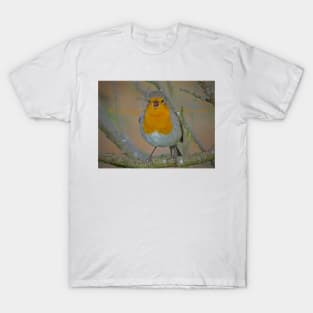 ROBIN GOCH NADOLIG! T-Shirt